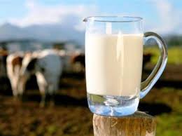 کدام شیر بهتر است، شیر سویا یا شیر گاو؟