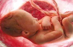 چرا جنین سقط می‌شود؟