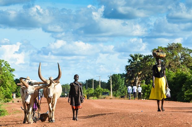 دختران در سودان جنوبی در ازای چند گاو خیلی زود ازدواج میکنند