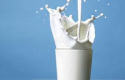 غنی‌سازی شیر یک نیاز ملی است