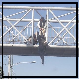 جزییات خودکشی امروز تهران | خودکشی زن جوان برای ترساندن شوهر سابقش 