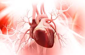 علائم سکته قلبی | پیشگیری از سکته قلبی