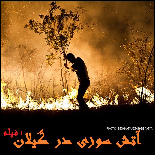 آتش سوزی لاهیجان |فیلم: آتش سوزی جنگل های لاهیجان، سیاهکل و شفت در گیلان
