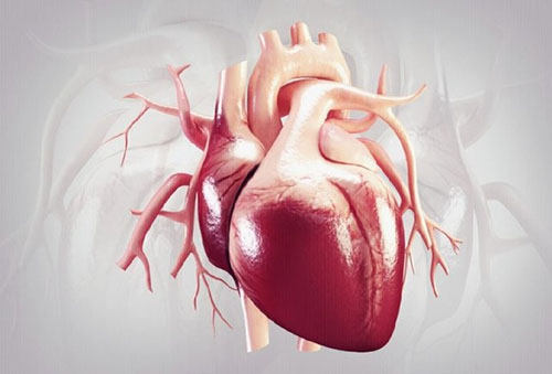 چقدر احتمال دارد تا 10 سال آینده بیماری قلبی بگیرید؟