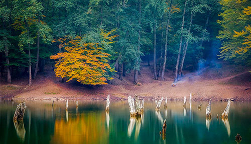 عکس | دریاچه‌ای رویایی وسط جنگل‌های ساری