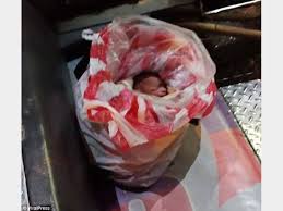 جسد نوازد نگون بخت رها شده در سطل زباله