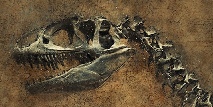  کشف فسیل یک دایناسور 66 میلیون ساله