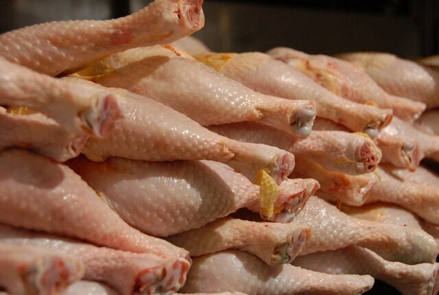 افزایش قیمت مرغ توسط مرغداران تخلف است