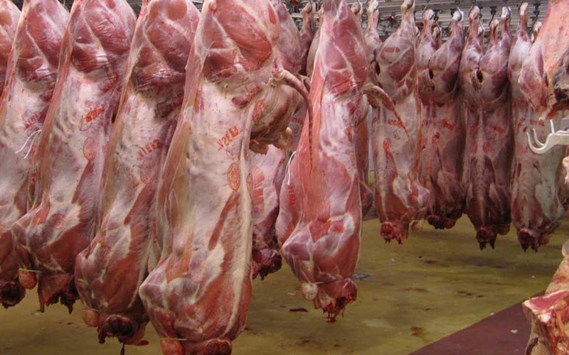 تداوم کاهش قیمت گوشت قرمز در فصل پاییز