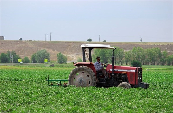 صادرات بیش از ۳۱۵ میلیون دلار محصولات کشاورزی به اتحادیه اوراسیا در سال گذشته