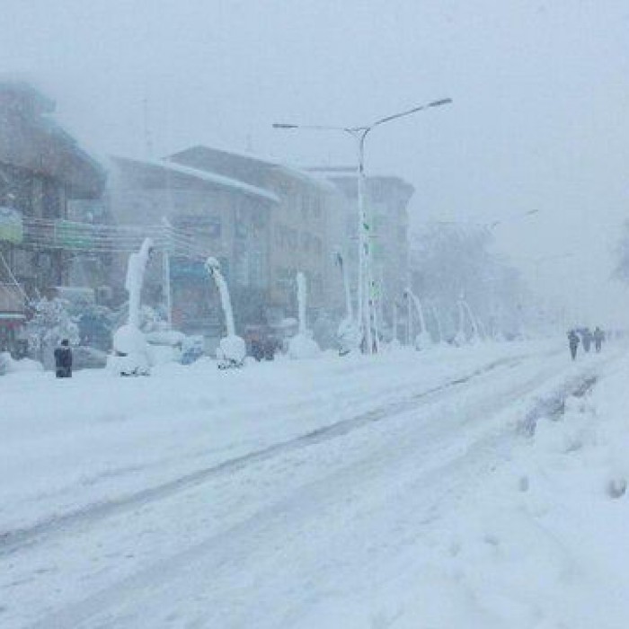 آخرین وضعیت جان‌باختگان و مصدومان متاثر از برف در استان گیلان