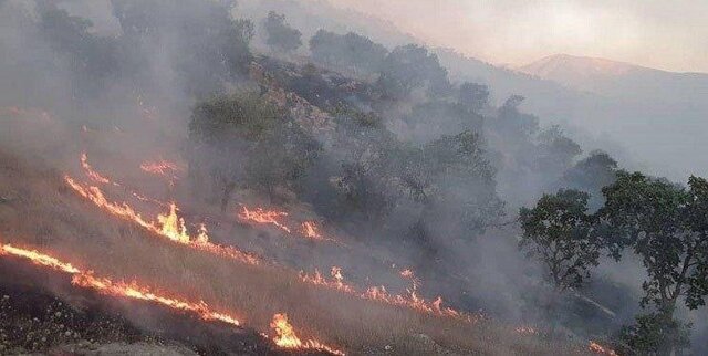 آخرین وضعیت آتش سوزی خائیز در خوزستان و کهگیلویه و بویراحمد