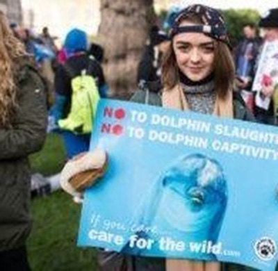 حرکت اعتراضی ستاره سینما به کشتار دلفین‌ها