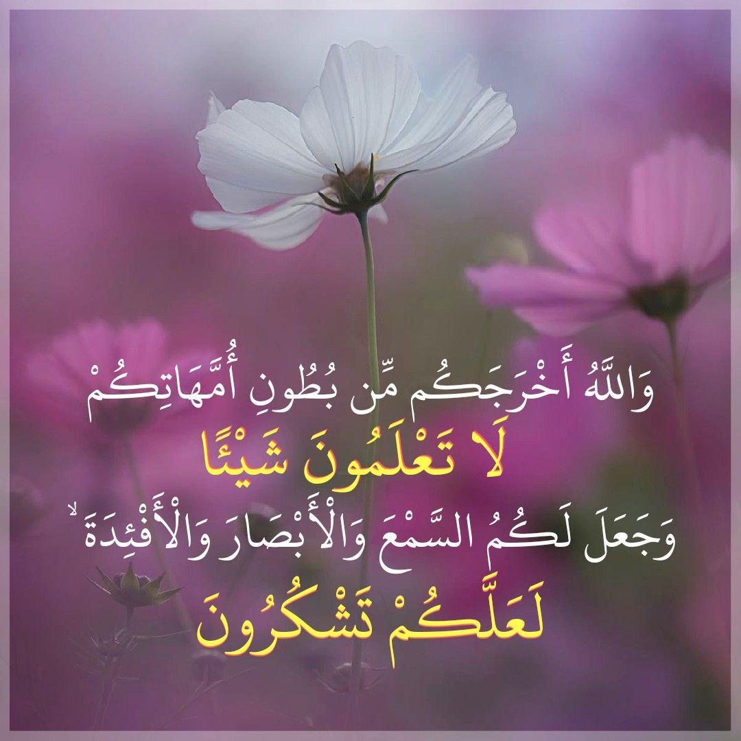 «آگاهی‌ های میوه‌ دار!»