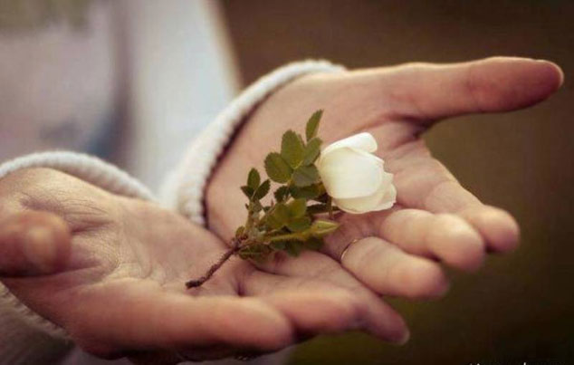 عاطفه‌ی آدم نیاز به مراقبت داره، یک مراقبت مستمر و یک‌سره...