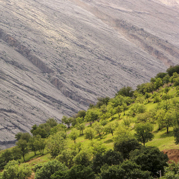 مناظری از طبیعت شهرستان «اردل و مشایخ»