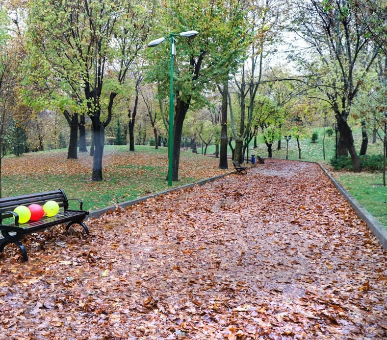 باران در پایتخت