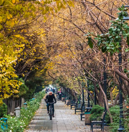 برگ‌ریزان پاییز در خیابان‌های تهران