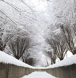 نخستین برف زمستانی در تبریز