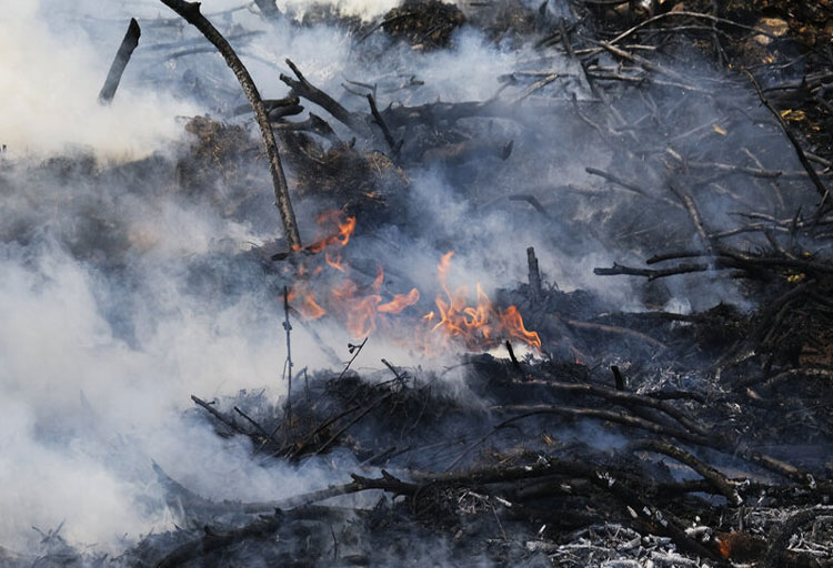 آتش سوزی در باغ فرزانه شیراز