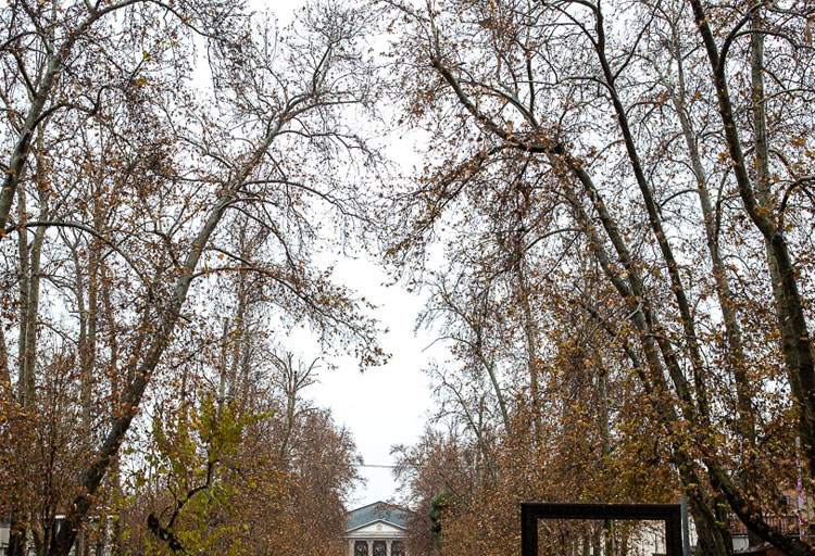 حال و هوای بارانی تهران