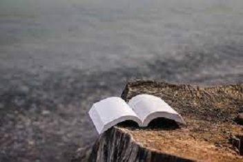 منتخب سخن بزرگان درباره زندگی و موفقیت