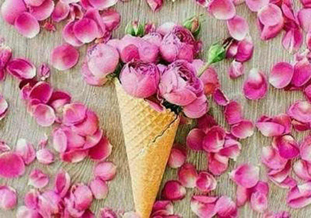 سخنان زیبا و آموزنده از بزرگان