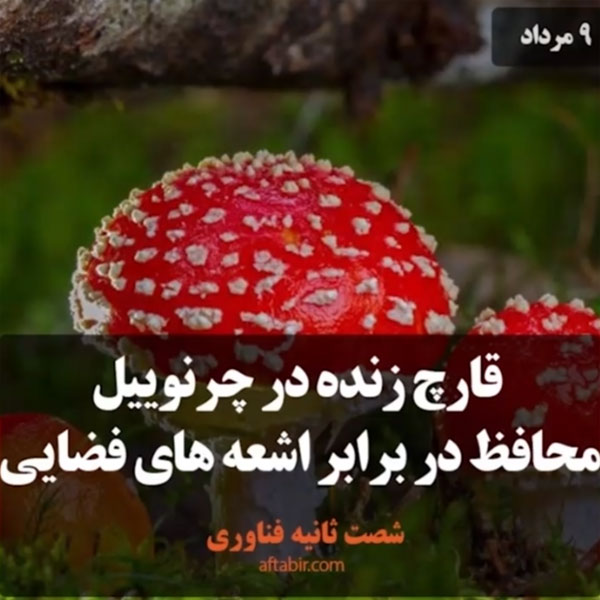 شصت ثانیه با اخبار علمی هفته / 9 مرداد