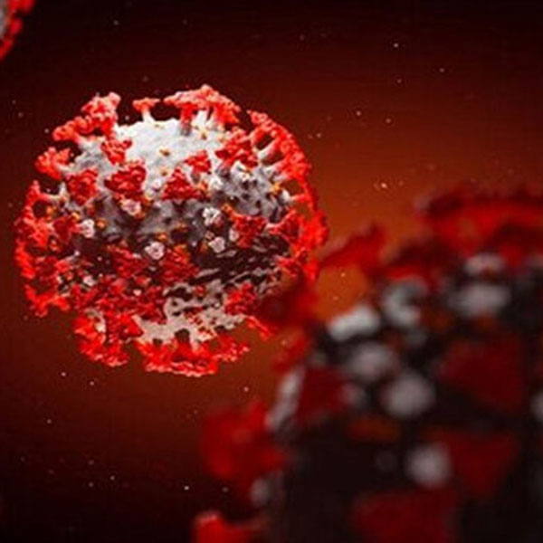 شیب تند ابتلا به کرونا و افزایش قربانیان این بیماری در ایران