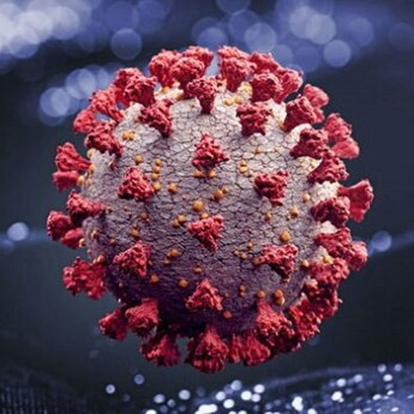 دلیل شیوع گسترده دوباره کرونا در تهران چیست؟