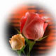 رابطه خوشبختی و سطح توقعات