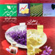 سرزمین سبز ـ سال هفتم، شماره ۸۰-۸۱، بهمن و اسفند ۱۳۸۸