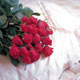 برای آنانکه طالب خوشبختی اند