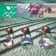سرزمین سبز ـ سال هفتم، شماره ۸۲-۸۳، فروردین و اردیبهشت ۱۳۸۹