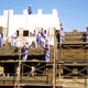 توسعه چگونه اندازه گیری می شود