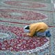 امام رضا(ع) و تربیت فرزند