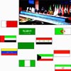 ایفاگران نقش اوپك