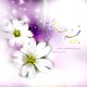 رفتار اجتماعی مؤمن