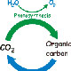 فتوسنتز Photosynthesis