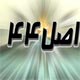 طرح تحول اقتصادی، ترمز یا کاتالیزور اصل ۴۴