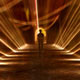 نقش و کارکرد تقوی در زندگی