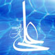 چرا علی(علیه‎السلام) سید اوصیاء است
