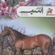 دنیای اسب ـ سال چهارم، شمارۀ ۱۷، زمستان ۱۳۸۷