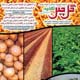گل‌چین ـ سال بیست و چهارم، شماره ۲۵۶، فروردین و اردیبهشت ۱۳۸۸