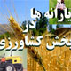 سیاست‌های حمایتی ‌یارانه‌های پرداختی و اعتبارات در بخش کشاورزی (بخش اول)