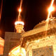 کبوتر طوقی