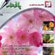 باغدار ـ سال چهارم، شماره ۲۸، بهمن و اسفند ۱۳۸۷