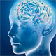 تفاوت هوش شناختی (IQ) با هوش هیجانی (EQ)