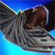 جایگاه تبلیغات در تولید صنعت و اقتصاد