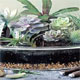 چشم انداز باغ شیشه ای